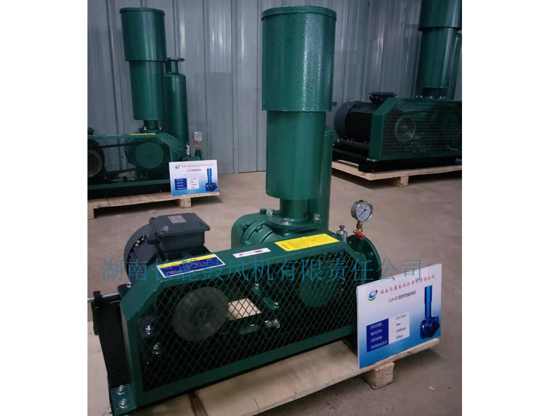 CLR-65罗茨风机 三叶罗茨鼓风机