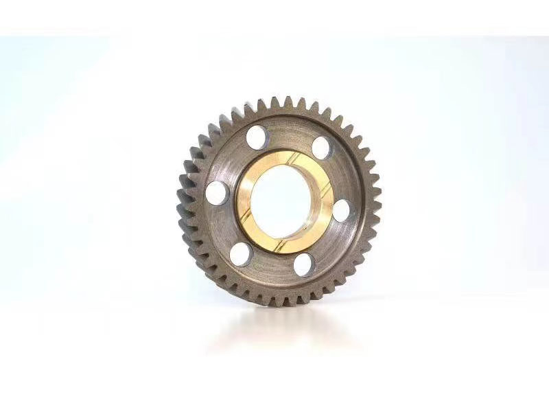 飞阳齿轮4
